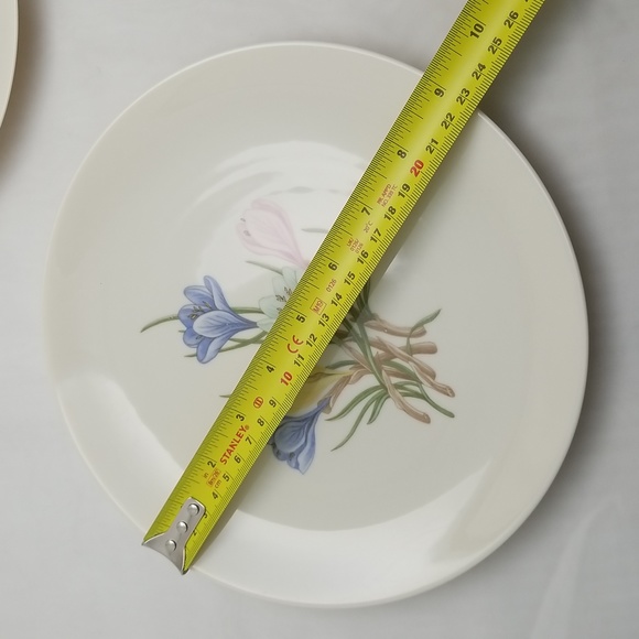 Franciscan China Sierra Crocus Lunch Plates - Picture 6 of 12